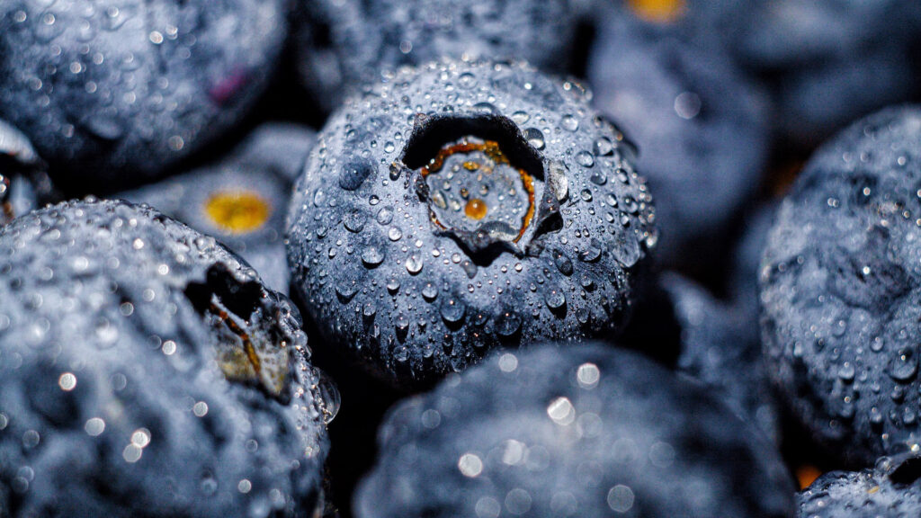 blueberries